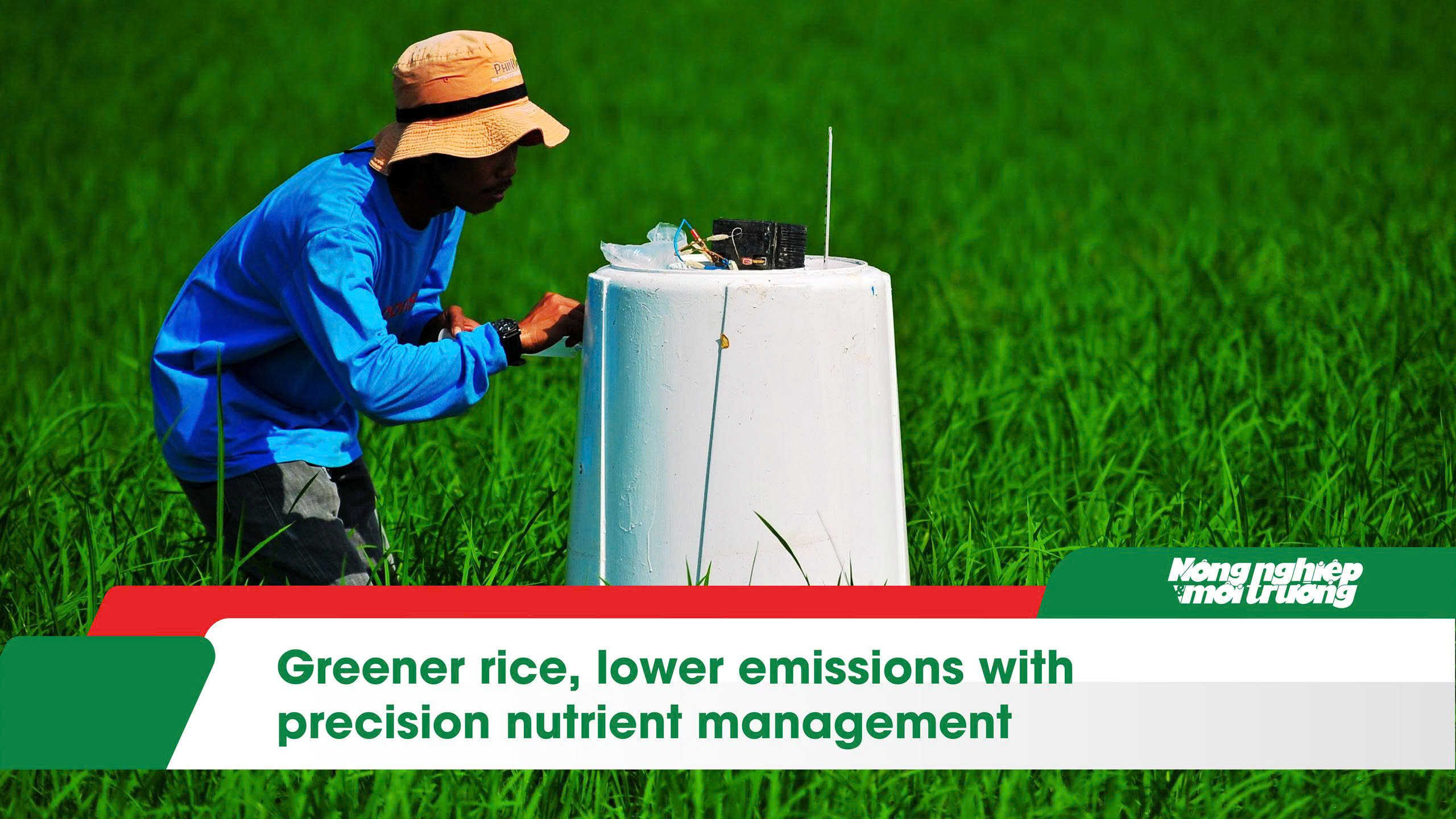Greener rice, lower emissions with precision nutrient management
